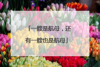一艘是航母，还有一艘也是航母