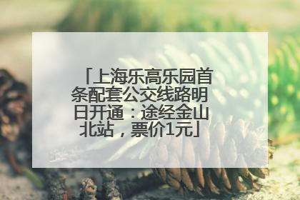 上海乐高乐园首条配套公交线路明日开通：途经金山北站，票价1元
