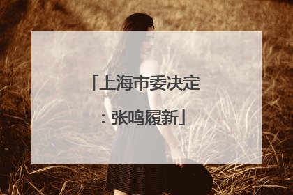 上海市委决定：张鸣履新