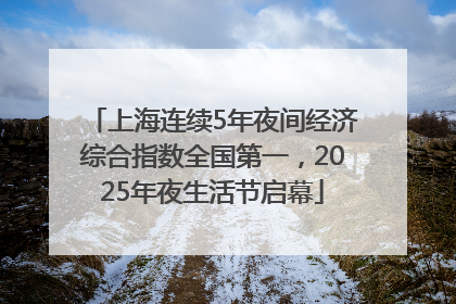 上海连续5年夜间经济综合指数全国第一，2025年夜生活节启幕