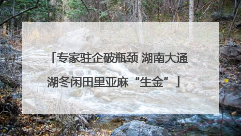 专家驻企破瓶颈 湖南大通湖冬闲田里亚麻“生金”