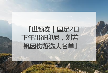 世预赛｜国足2日下午出征印尼，刘若钒因伤落选大名单