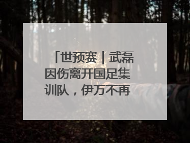 世预赛｜武磊因伤离开国足集训队，伊万不再补招顶替球员