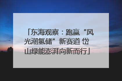 东海观察：跑赢“风光潮氢储”新赛道 岱山绿能澎湃向新而行