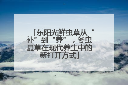 东阳光鲜虫草从“补”到“养”，冬虫夏草在现代养生中的新打开方式