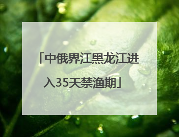 中俄界江黑龙江进入35天禁渔期