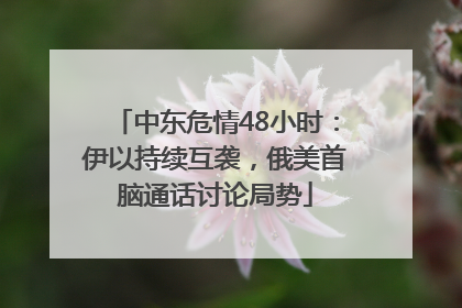 中东危情48小时：伊以持续互袭，俄美首脑通话讨论局势