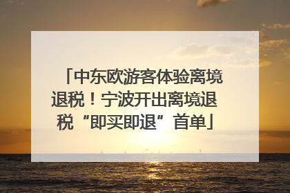 中东欧游客体验离境退税！宁波开出离境退税“即买即退”首单