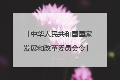 中华人民共和国国家发展和改革委员会令