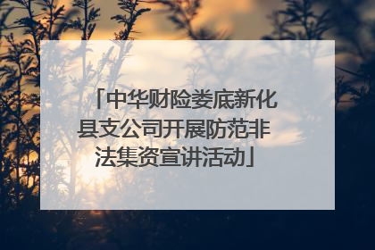 中华财险娄底新化县支公司开展防范非法集资宣讲活动