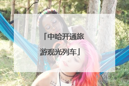中哈开通旅游观光列车