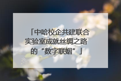 中哈校企共建联合实验室成就丝绸之路的“数字联姻”
