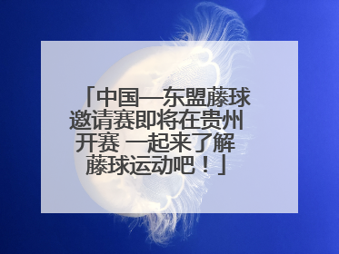 中国—东盟藤球邀请赛即将在贵州开赛 一起来了解藤球运动吧！