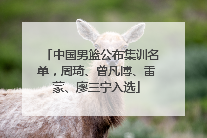中国男篮公布集训名单，周琦、曾凡博、雷蒙、廖三宁入选