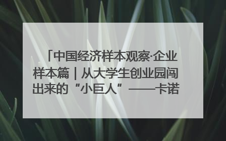 中国经济样本观察·企业样本篇｜从大学生创业园闯出来的“小巨人”——卡诺普机器人的逐梦历程