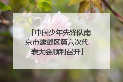 中国少年先锋队南京市建邺区第六次代表大会顺利召开