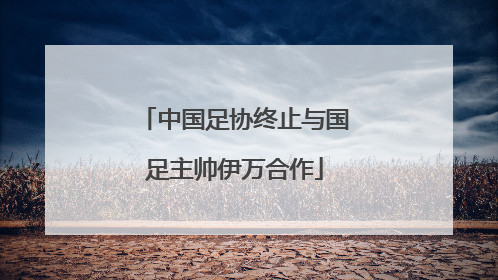 中国足协终止与国足主帅伊万合作