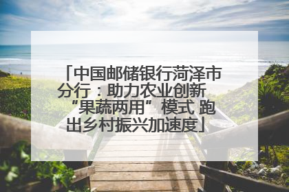 中国邮储银行菏泽市分行：助力农业创新 “果蔬两用”模式 跑出乡村振兴加速度