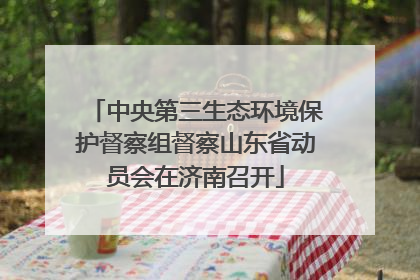 中央第三生态环境保护督察组督察山东省动员会在济南召开