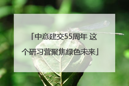 中意建交55周年 这个研习营聚焦绿色未来