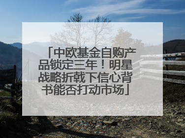 中欧基金自购产品锁定三年！明星战略折戟下信心背书能否打动市场