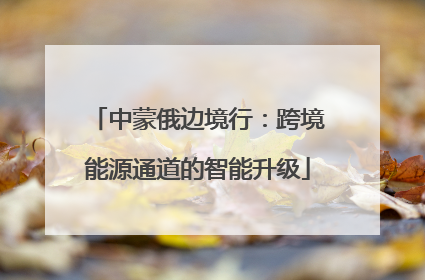 中蒙俄边境行：跨境能源通道的智能升级