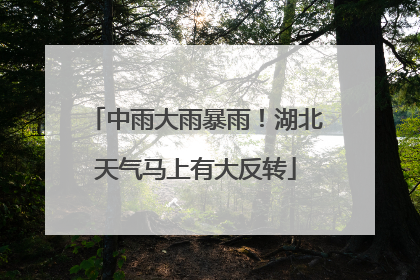 中雨大雨暴雨！湖北天气马上有大反转