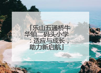 乐山五通桥牛华镇二码头小学：适应与成长，助力新启航