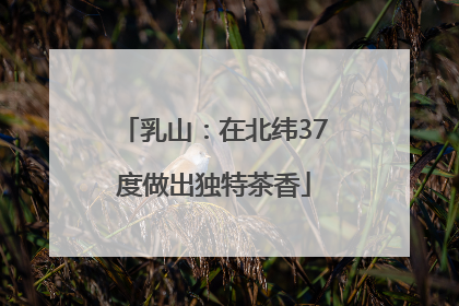 乳山：在北纬37度做出独特茶香