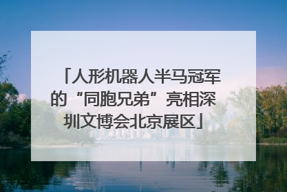 人形机器人半马冠军的“同胞兄弟”亮相深圳文博会北京展区