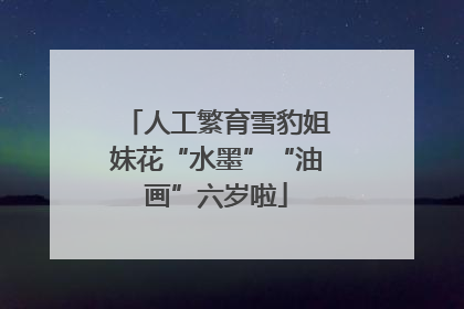 人工繁育雪豹姐妹花“水墨”“油画”六岁啦