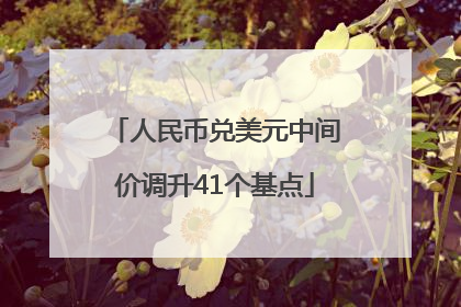 人民币兑美元中间价调升41个基点