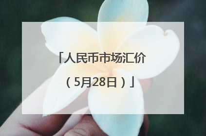 人民币市场汇价（5月28日）