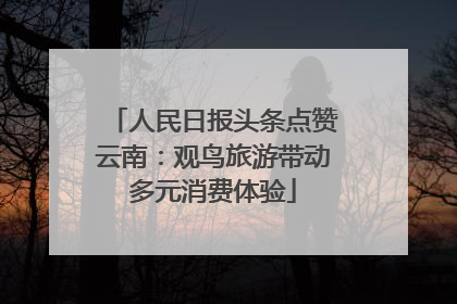 人民日报头条点赞云南：观鸟旅游带动多元消费体验
