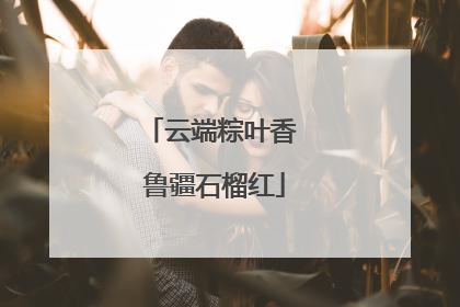 云端粽叶香 鲁疆石榴红