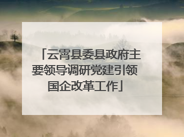 云霄县委县政府主要领导调研党建引领国企改革工作