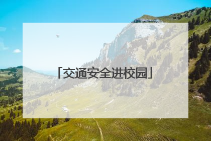 交通安全进校园