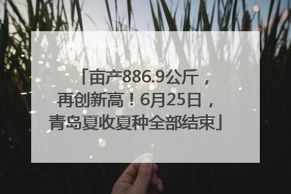 亩产886.9公斤，再创新高！6月25日，青岛夏收夏种全部结束
