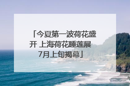 今夏第一波荷花盛开 上海荷花睡莲展7月上旬揭幕