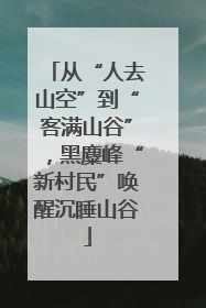 从“人去山空”到“客满山谷”，黑麋峰“新村民”唤醒沉睡山谷