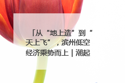 从“地上造”到“天上飞”，滨州低空经济乘势而上｜潮起渤海・网聚黄蓝
