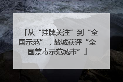 从“挂牌关注”到“全国示范”，盐城获评“全国禁毒示范城市”