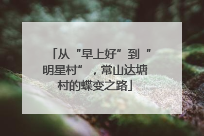从“早上好”到“明星村”，常山达塘村的蝶变之路