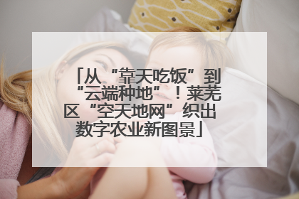 从“靠天吃饭”到“云端种地”！莱芜区“空天地网”织出数字农业新图景