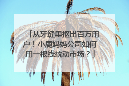 从牙缝里抠出百万用户！小鹿妈妈公司如何用一根线撬动市场？