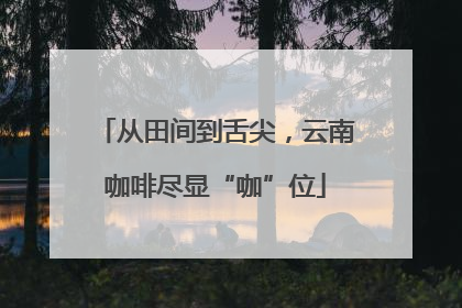 从田间到舌尖，云南咖啡尽显“咖”位
