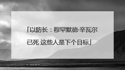 以防长：穆罕默德·辛瓦尔已死 这些人是下个目标
