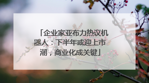 企业家亚布力热议机器人：下半年或迎上市潮，商业化成关键