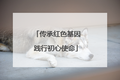 传承红色基因 践行初心使命