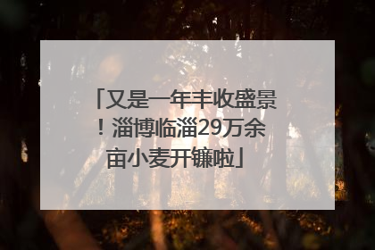 又是一年丰收盛景！淄博临淄29万余亩小麦开镰啦